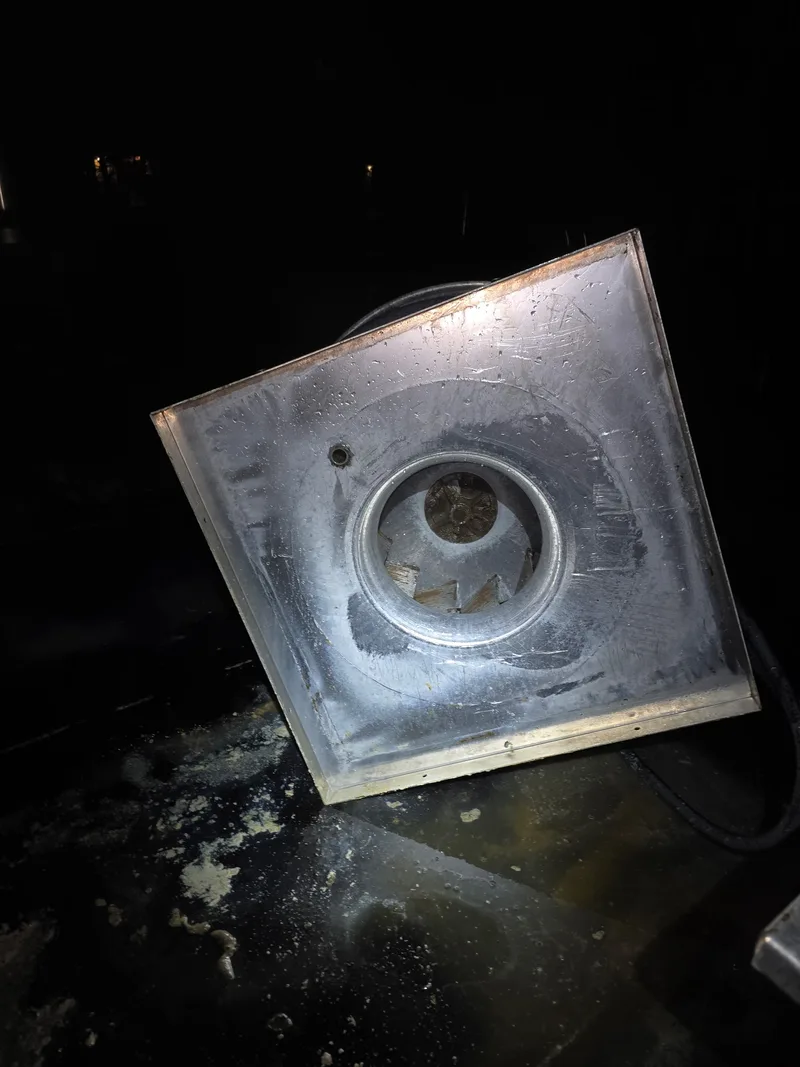 Exhaust system after cleaning