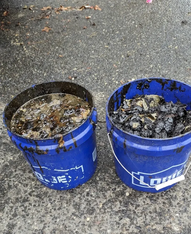 Two buckets filled with grease removed from the duct box shown above